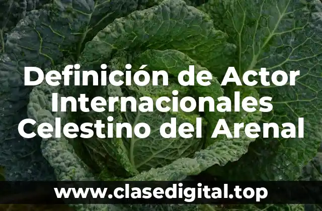 Definición de Actor Internacionales Celestino del Arenal