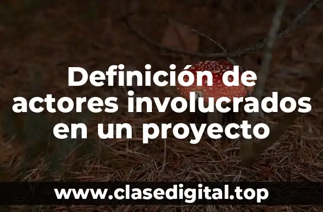 Definición de actores involucrados en un proyecto