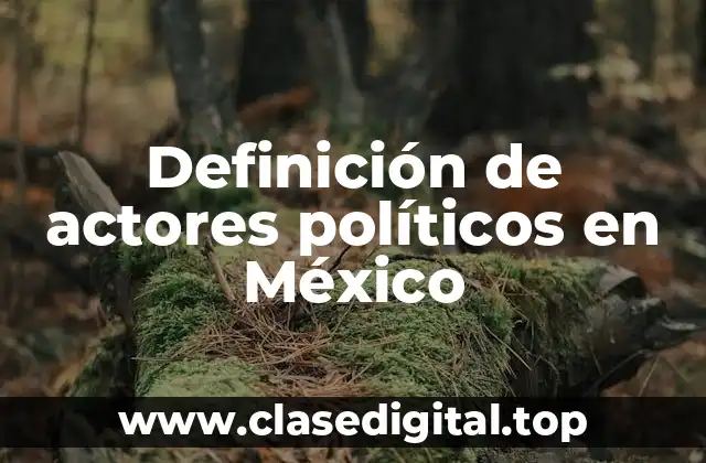 Definición de actores políticos en México