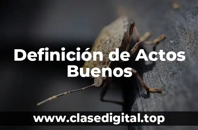 Definición de Actos Buenos