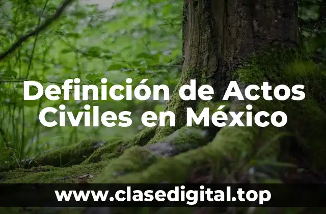 Definición de Actos Civiles en México