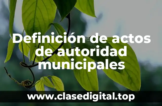 Definición de actos de autoridad municipales