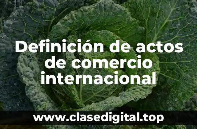 Definición de actos de comercio internacional