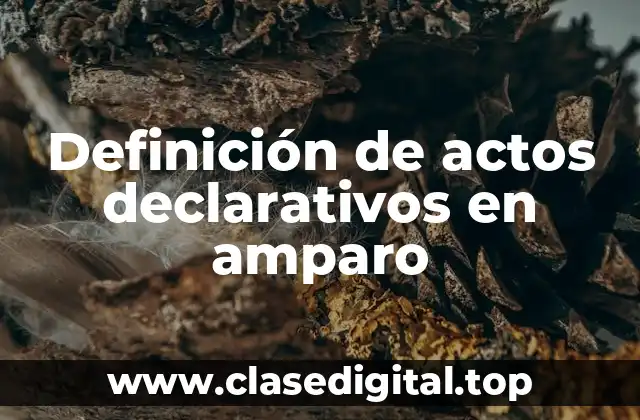 Ejemplos de actos declarativos en amparo