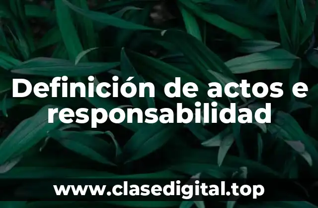 Ejemplos de actos e responsabilidad