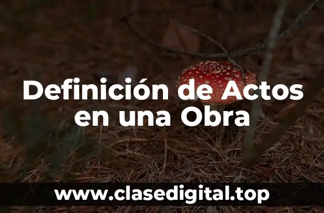 Definición de Actos en una Obra