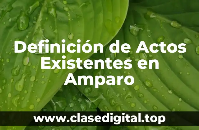 Ejemplos de Actos Existentes en Amparo