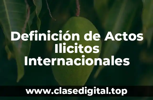 Definición de Actos Ilicitos Internacionales