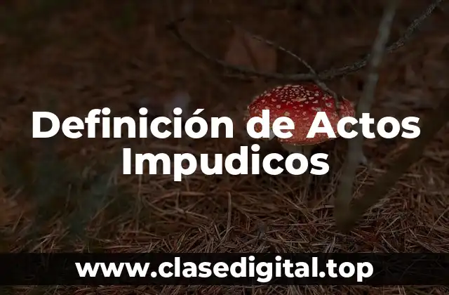 Definición de Actos Impudicos