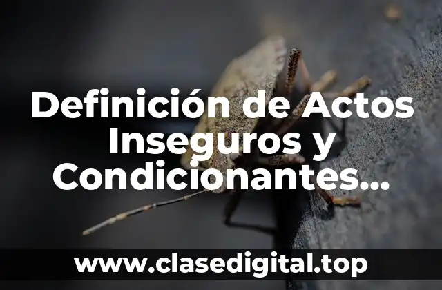 Definición de Actos Inseguros y Condicionantes Inseguros