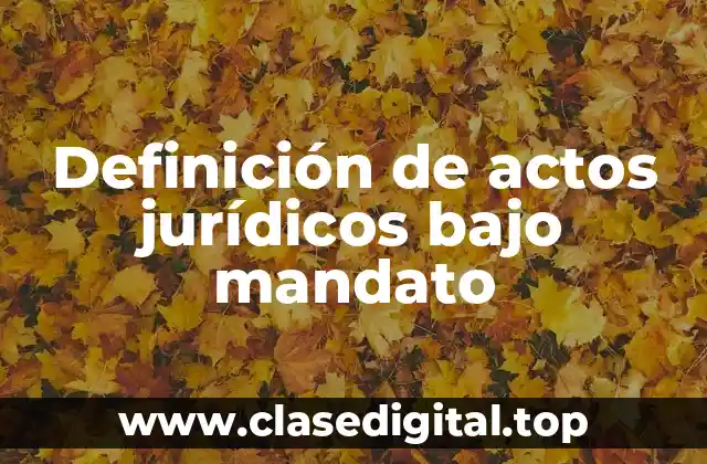 Definición de actos jurídicos bajo mandato