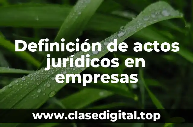 Definición de actos jurídicos en empresas
