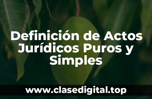 Definición Técnica de Actos Jurídicos Puros y Simples