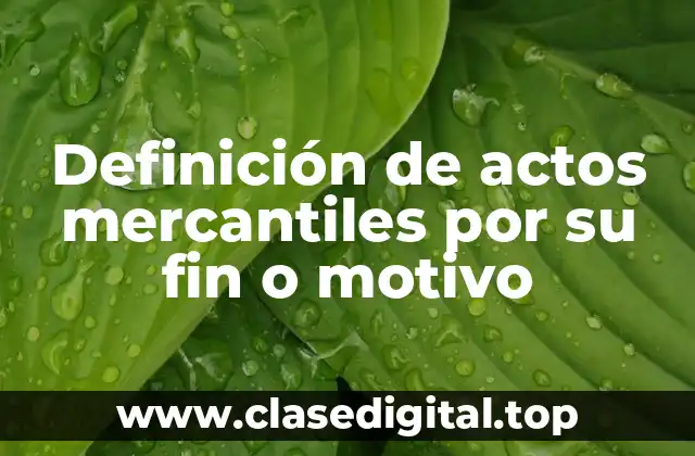 Definición de actos mercantiles por su fin o motivo