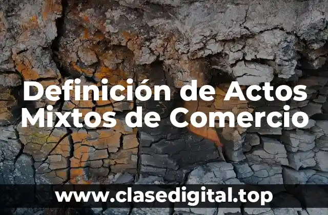 Definición de Actos Mixtos de Comercio