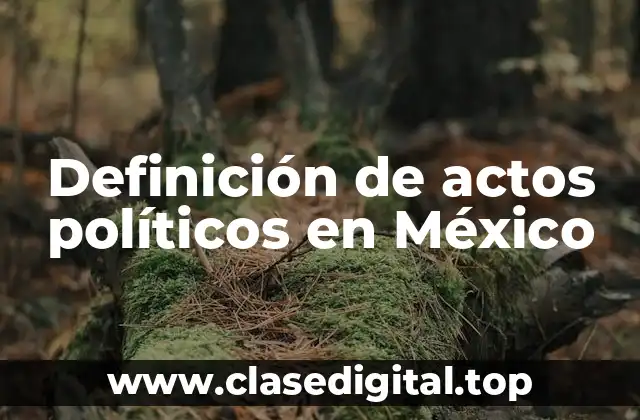 Definición de actos políticos en México