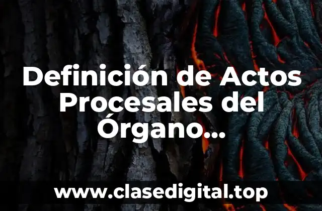 Definición de Actos Procesales del Órgano Jurisdiccional