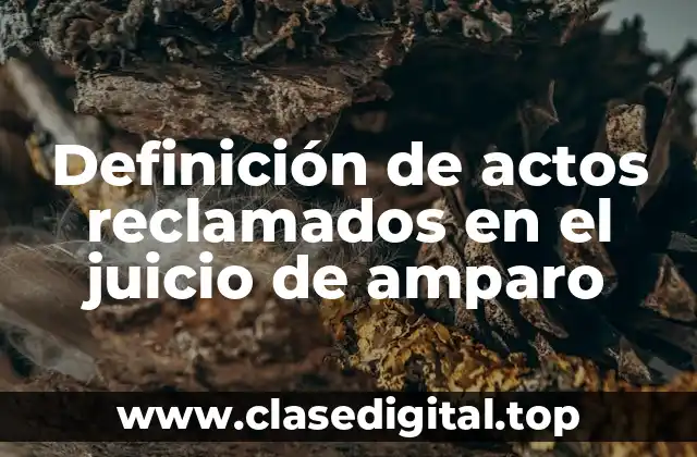 Definición de actos reclamados en el juicio de amparo