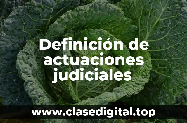 Definición de actuaciones judiciales
