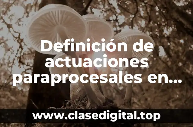 Definición de actuaciones paraprocesales en materia civil