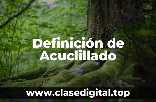 Definición de Acuclillado