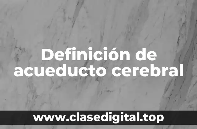 Definición de acueducto cerebral