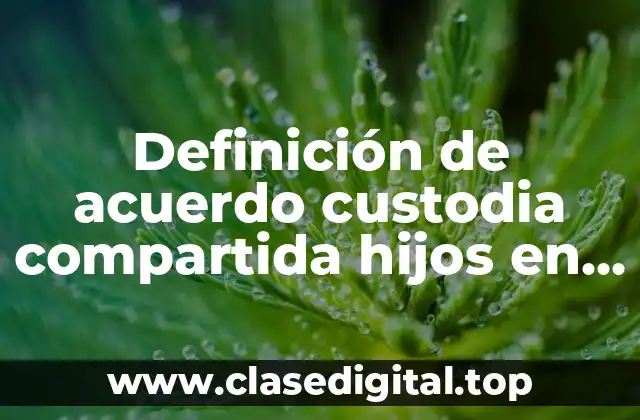 Definición de acuerdo custodia compartida hijos en estados unidos