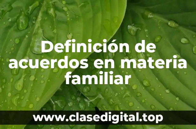 Ejemplos de acuerdos en materia familiar