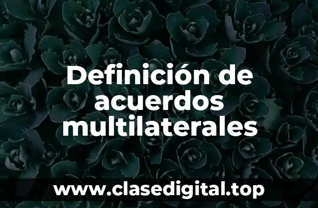 Definición de acuerdos multilaterales