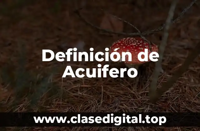 Definición técnica de Acuifero