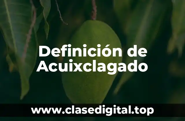 Definición de Acuixclagado