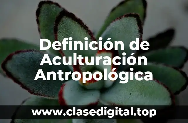Definición de Aculturación Antropológica