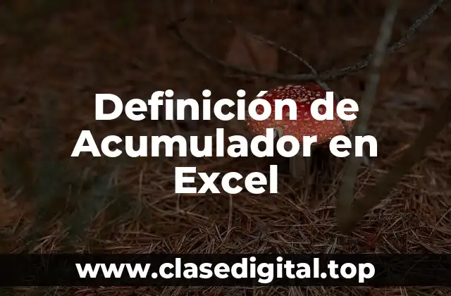 Definición de Acumulador en Excel