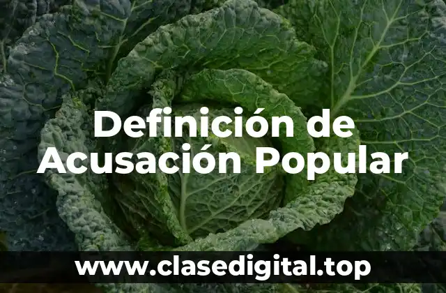 Definición técnica de Acusación Popular