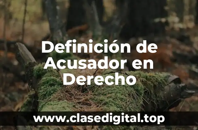 Definición de Acusador en Derecho