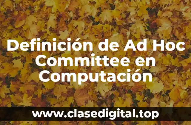 Definición de Ad Hoc Committee en Computación