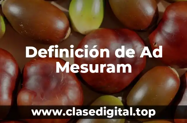 Definición de Ad Mesuram