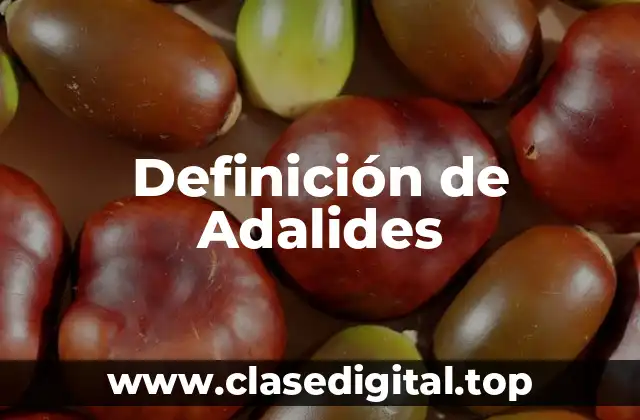 Definición de Adalides