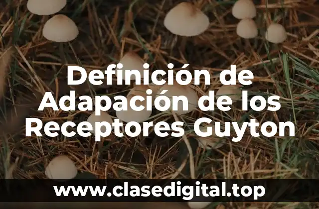 Definición de Adapación de los Receptores Guyton