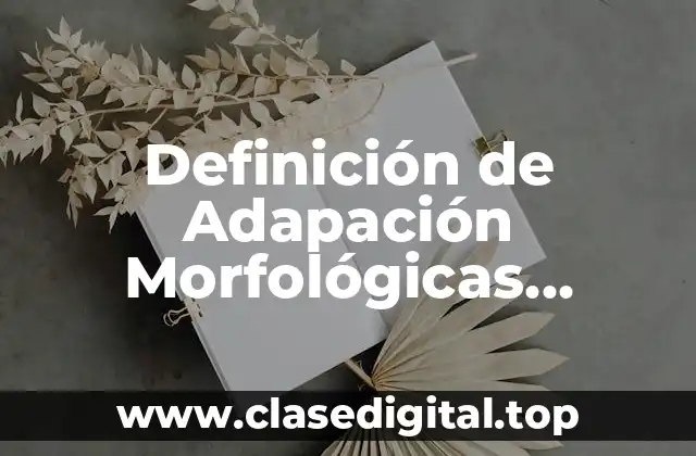 Definición de Adapación Morfológicas Ejemplos