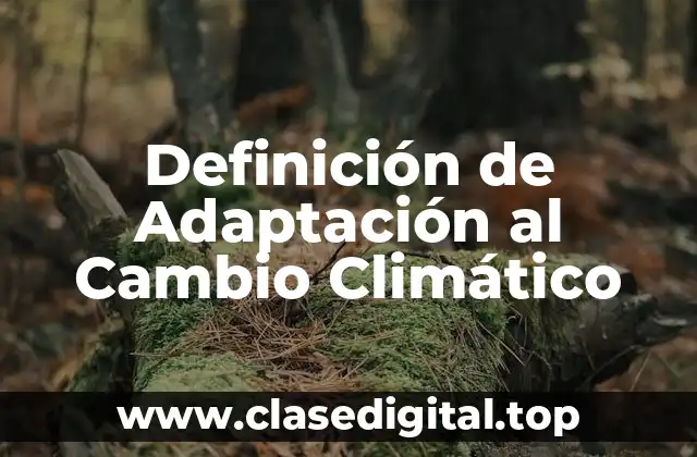 Definición de Adaptación al Cambio Climático