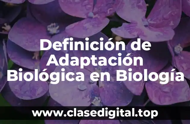 Definición de Adaptación Biológica en Biología