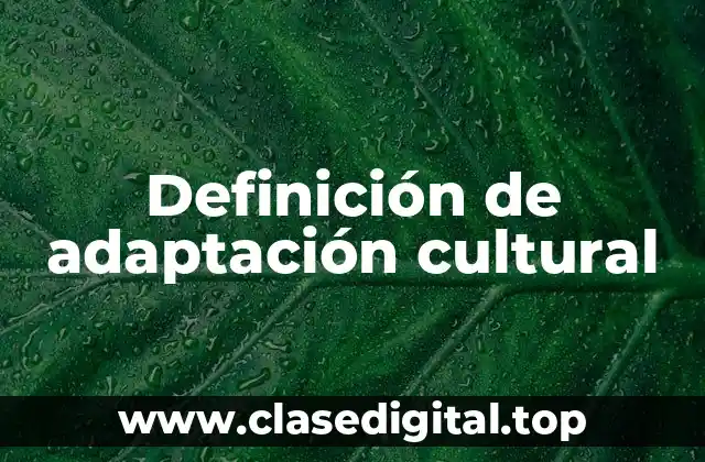 Definición de adaptación cultural
