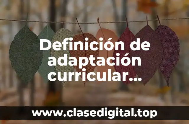 Definición de adaptación curricular significativa
