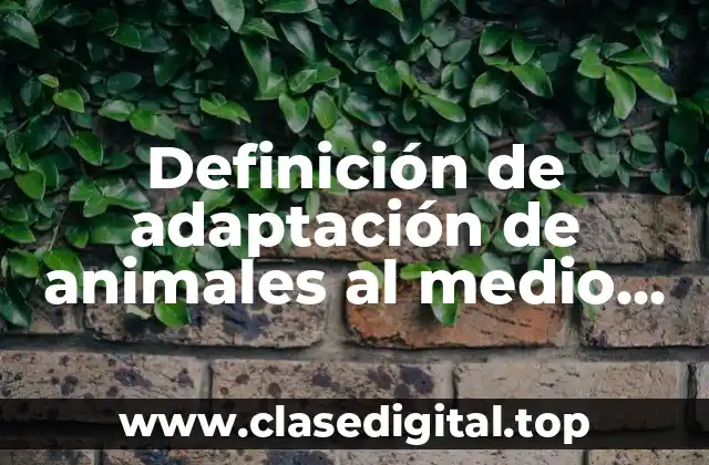 Definición de adaptación de animales al medio ambiente