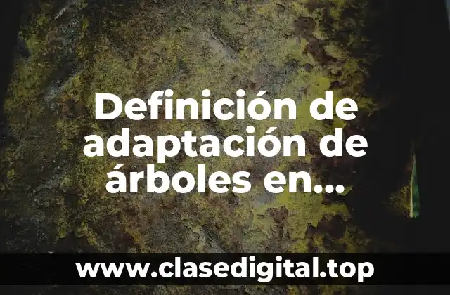 Definición de adaptación de árboles en diferentes continentes