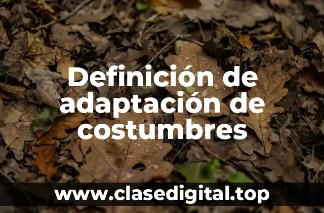 Definición de adaptación de costumbres