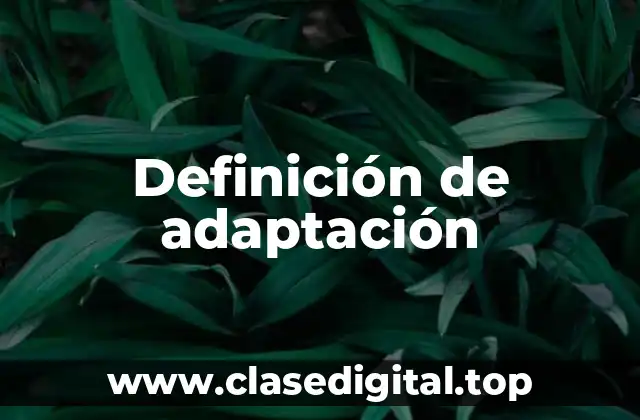 Definición técnica de adaptación