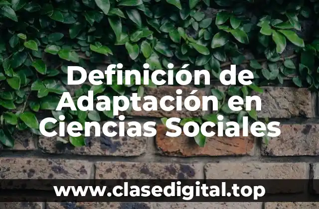 Definición de Adaptación en Ciencias Sociales