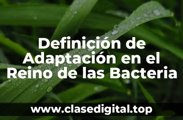 Definición de Adaptación en el Reino de las Bacteria